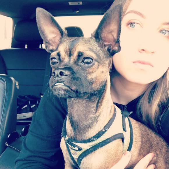 Meet your Posher, Shannon - Picture 1 of 1